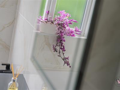 Picture 47